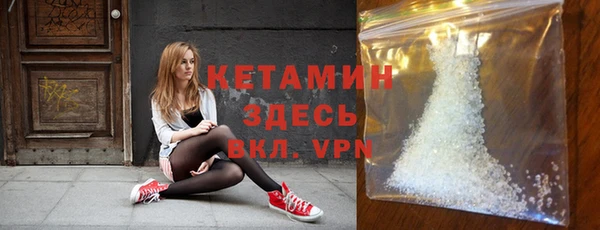 прущие грибы Новозыбков