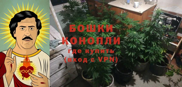 Альфа ПВП Грязовец
