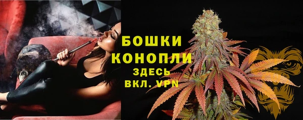 спиды Няндома